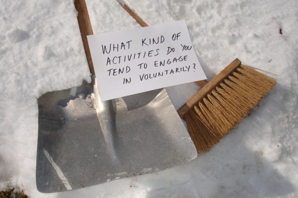 What kind of activities do you tend to engage in voluntarily?